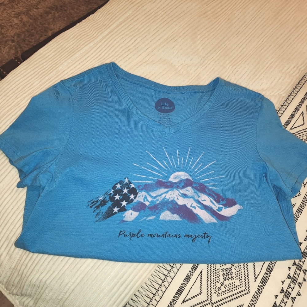Life is Good - Purple Mountains Majesty